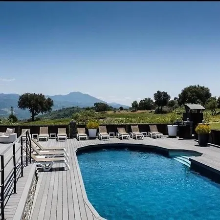 T2 Climatise Avec Terrasse Privative