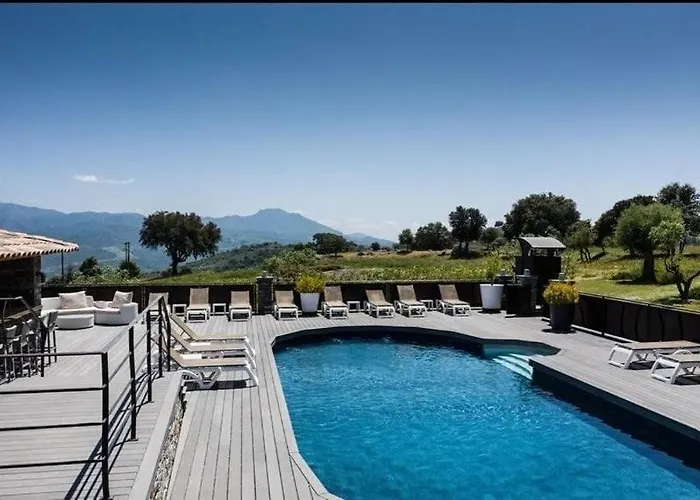T2 Climatise Avec Terrasse Privative