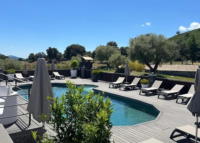 Apartament T2 Climatise Avec Terrasse Privative